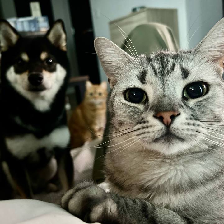 08a1b82c 5562 431b b8fb 6276022c13a2 1688809512074