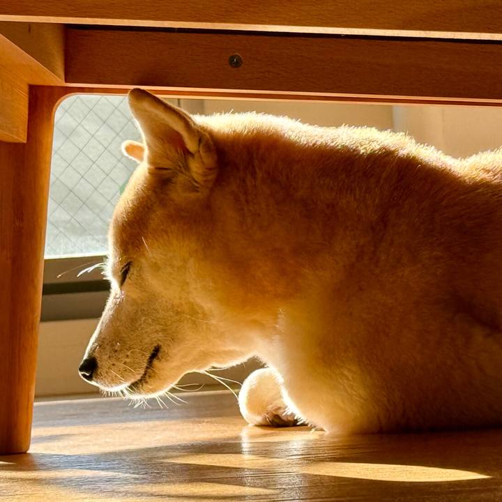 08a20aae e148 4c7f a5c8 8d3541e90e29 1765601876566