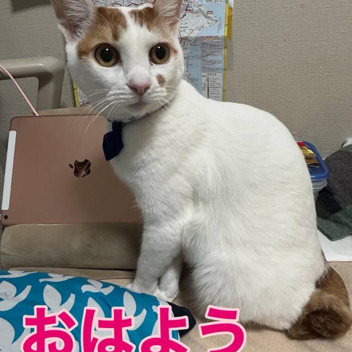 08a20fef 42f9 4717 ab1f d957ae3b5df0 1761667993355