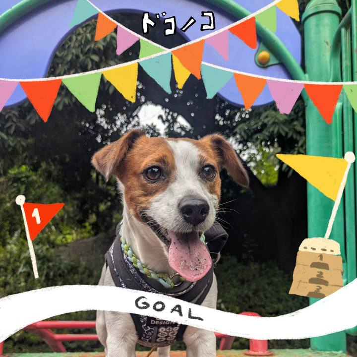 08a22499 c46d 4acd af6c 80d8889d0b40 1729132379039