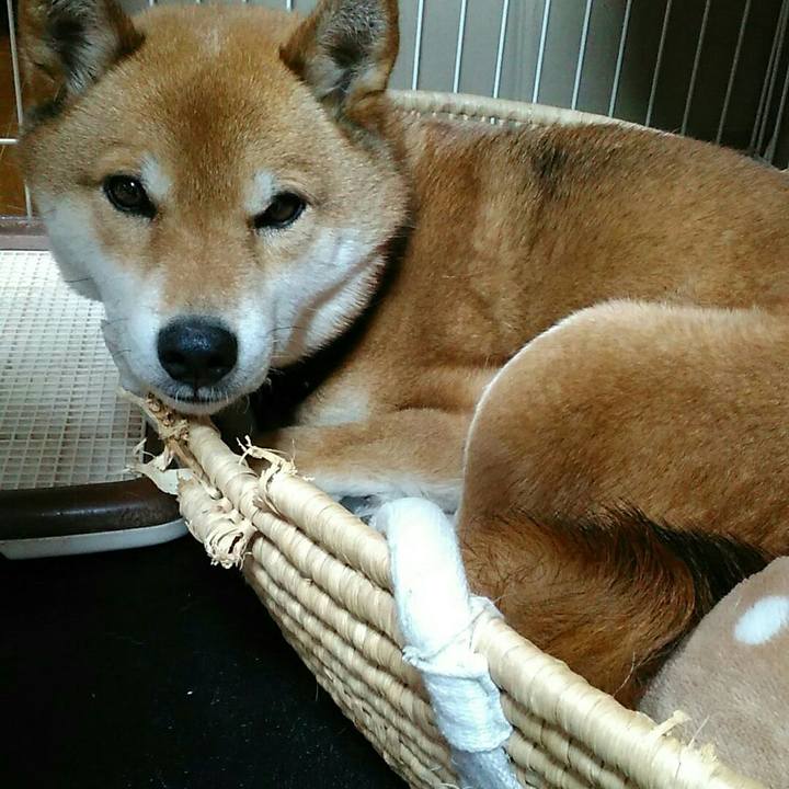 08a235b3 6bcd 4114 a4a0 bfc8d1e6869b 1548844676011