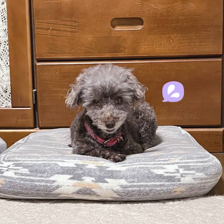 08a23975 f561 46a0 8005 48e143352322 1661985076019