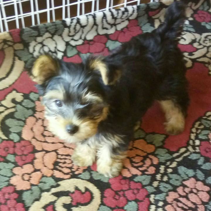 08a27799 7cb1 4b28 8cf5 ce7656b58134 1530320549501