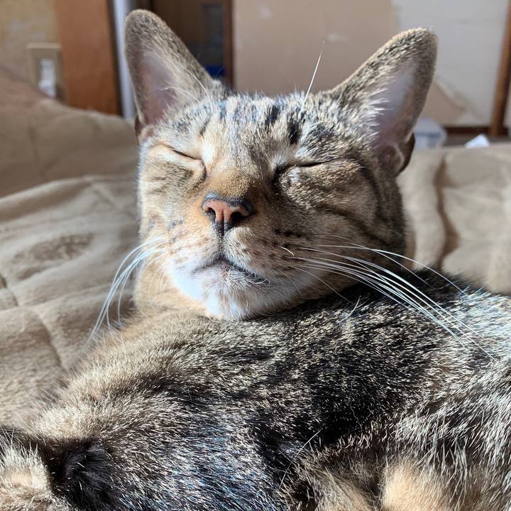 08a27e5c 7d6b 4962 8814 217534837bbe 1552267176338