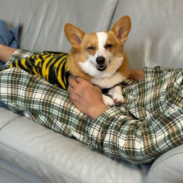 08a2abc4 6a40 40b9 81f8 bccaef5f44dd 1770506849013