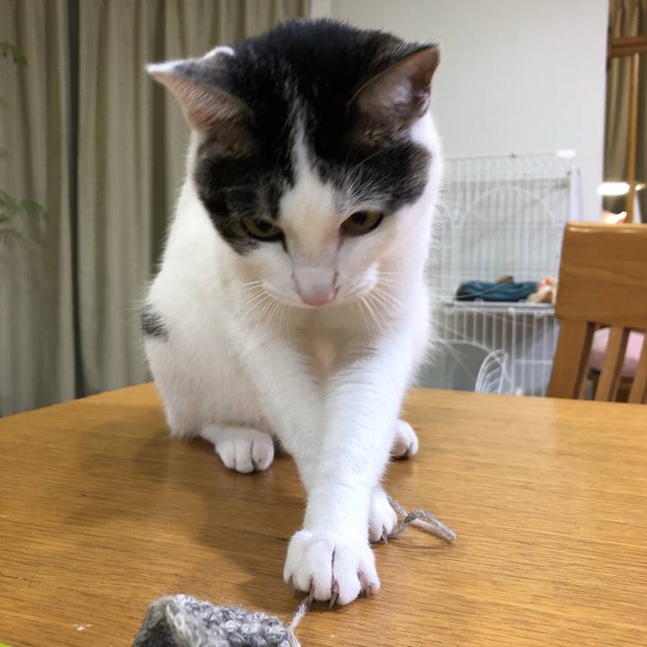 08a2ae03 efa5 4d5d 85af dd0bdf28c604 1631186790625