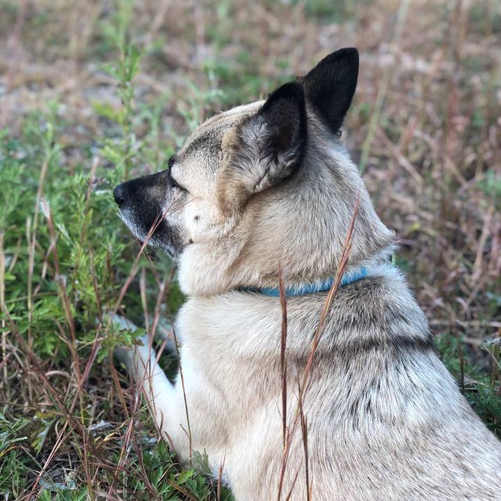 08a2b844 48b2 48be 9e00 8b66dbefb779 1633778788395