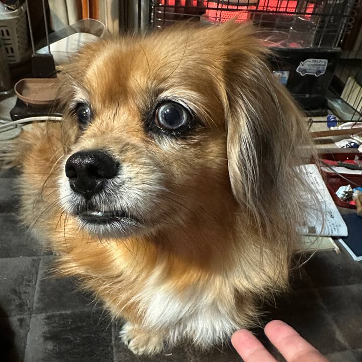 08a2be8b efa6 441b 917c 6e19954ca428 1732914492345