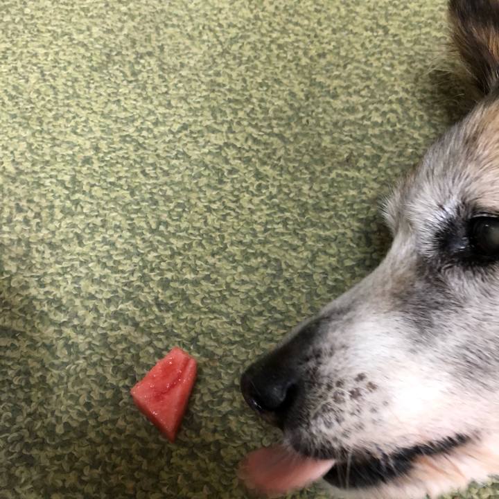 08a2bf35 9ae8 46cd 8b41 e3d7a7ea286a 1560396470109