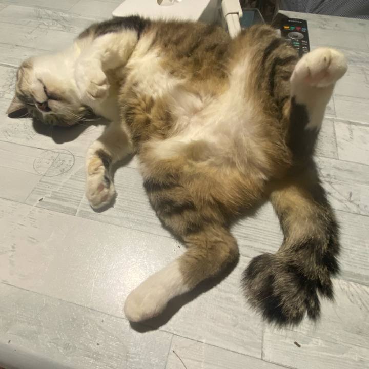 08a320e5 c731 4d05 a1ca 1eddcb7541bd 1689772011476