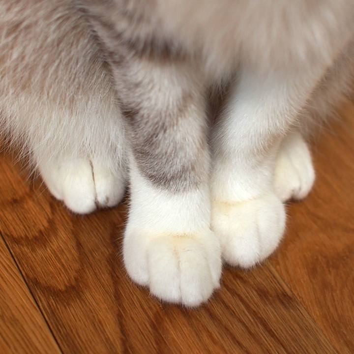 08a3268a 1750 464e bc64 965516bdbc49 1549799339303