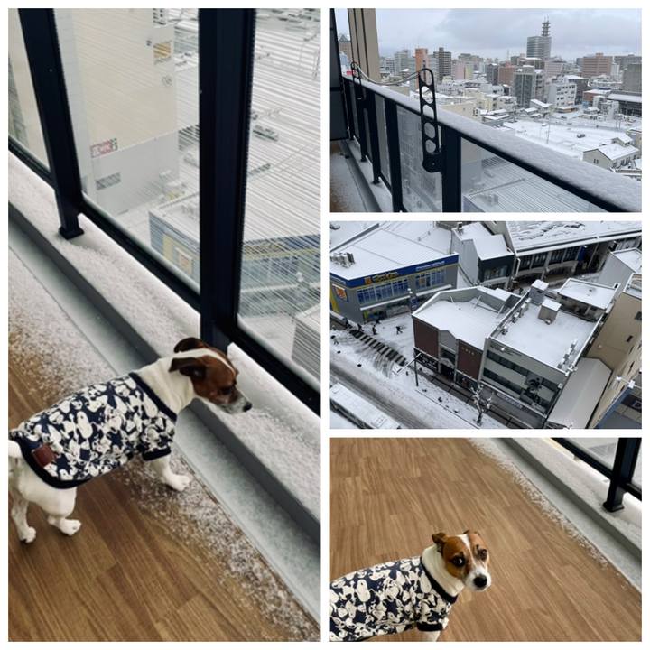 08a34ea2 01ca 4f0b 9af8 ee501f7fe49f 1738797401735