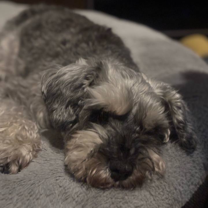 08a3691d 057c 4fbd 9d1f 4f4af6574669 1761821959563