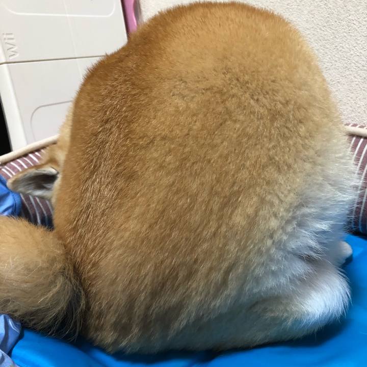 08a37f2b c3c3 4e19 b96e d83342d1fefc 1593045893414