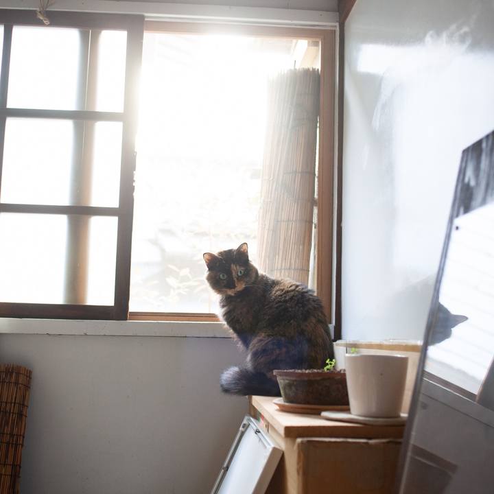 08a388fa 8d9a 4891 975e 7f6026691231 1576290773680