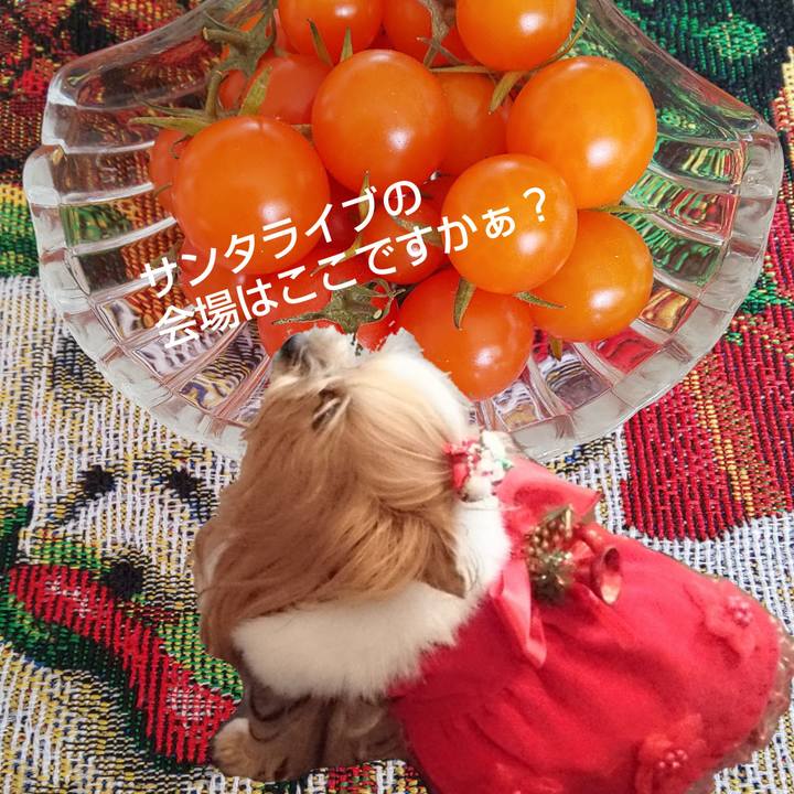 08a39f58 78ba 48aa a54a 1feed529f11c 1576963134926