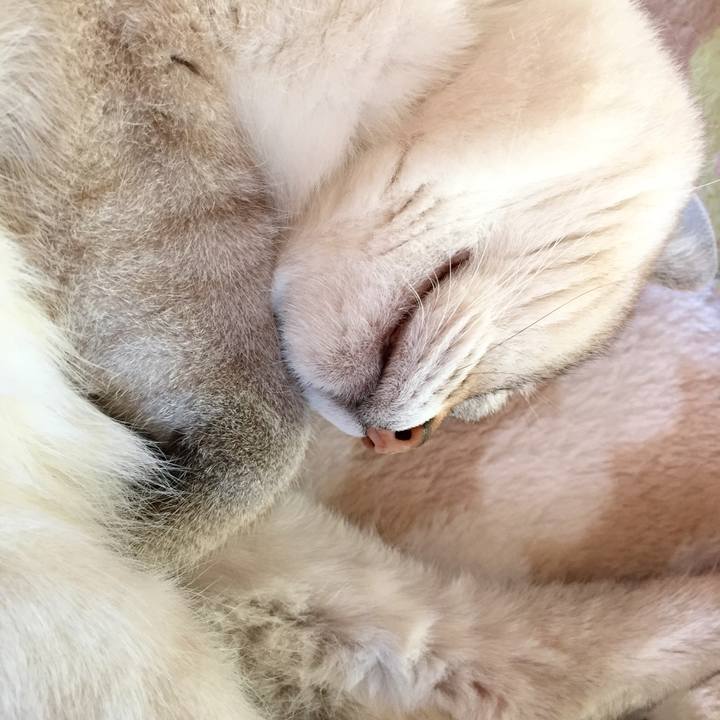 08a3a125 0185 4284 a5d4 bad72d24a718 1540779278564