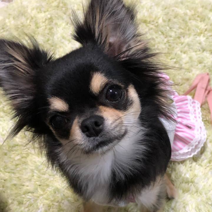 08a3b4ac 9b51 41d2 8719 ee769ce6513e 1556796958445