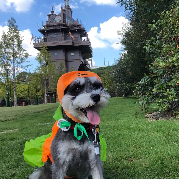 08a3b760 9b41 4410 85dc b2aa70b1b3a7 1665894590634