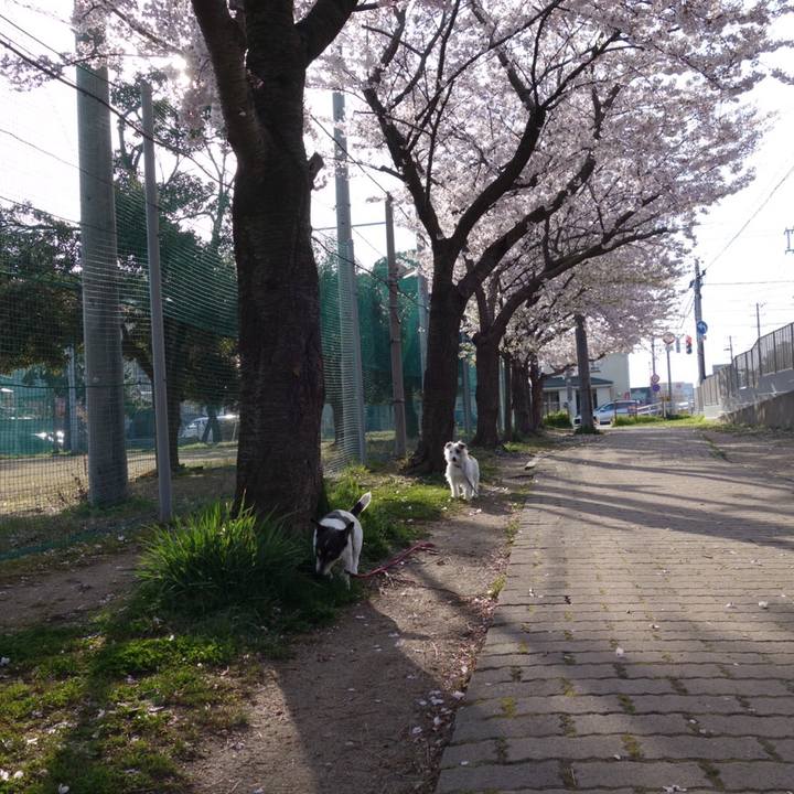 08a3bd81 6534 43ff b795 d0f2fd9beb94 1555456977306