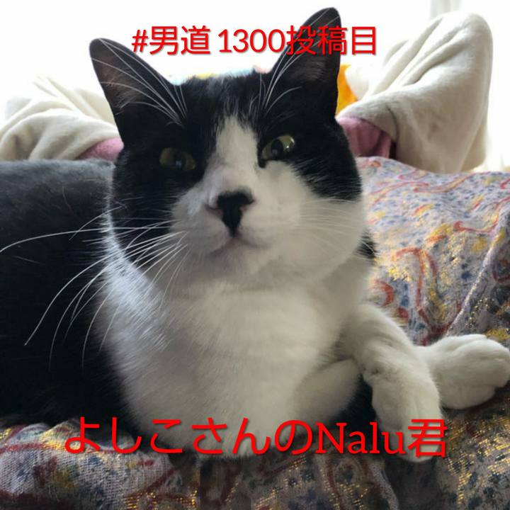 08a3c533 7af0 46ff 90b6 822ae364bdbd 1561172280510