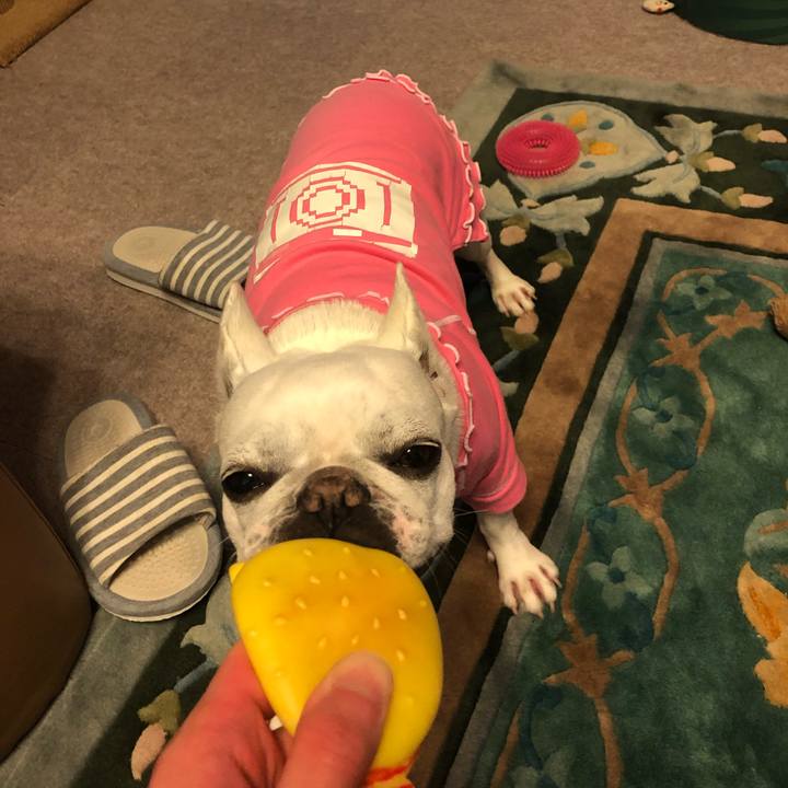 08a3dd17 26b5 4a30 880b 2a56b0de2c96 1588765267135