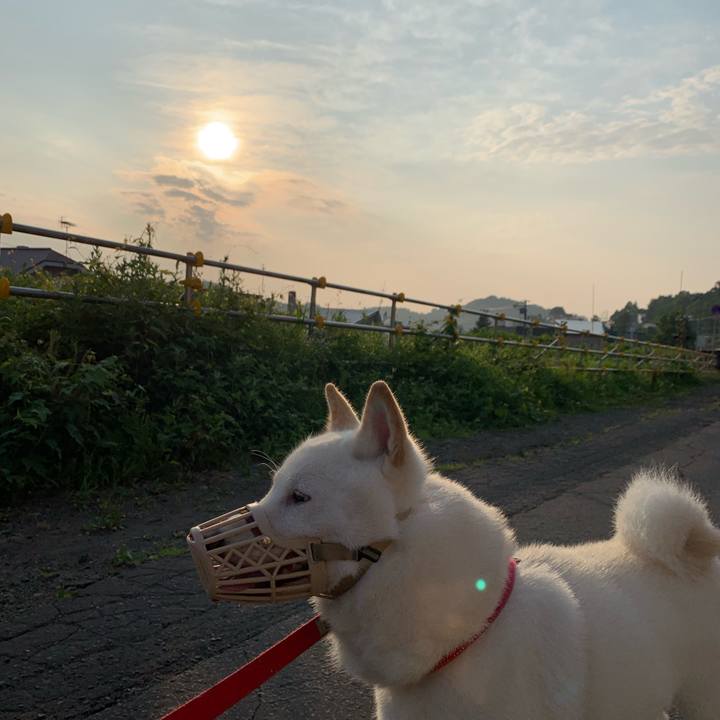 08a4115e 0cd8 4ba8 814c 75b1d7e56521 1564780429021