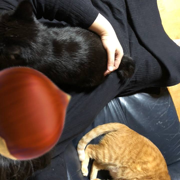 08a457bd 677e 4b83 8aa4 52a41318fd58 1568325268947