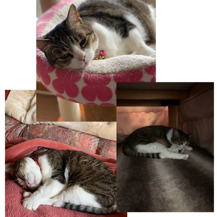 08a47f14 a9e5 482b 9b66 847969ab6306 1620117802043