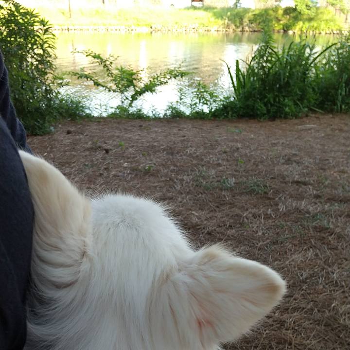 08a4851c 7ac4 4dfa aecd c5defff17699 1622286519654