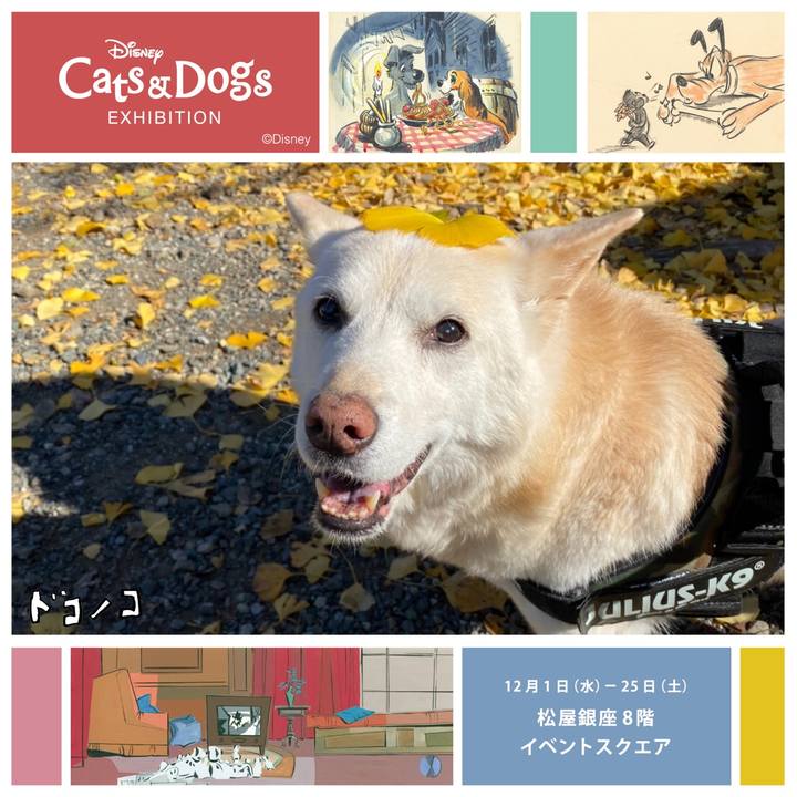 08a492d9 bfd8 4e69 abac 2f6f09358a67 1638362973068