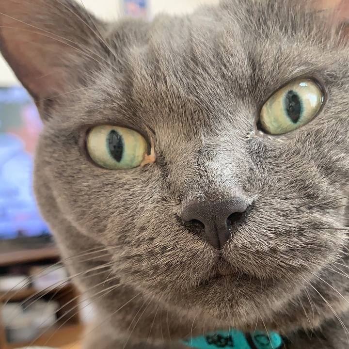 08a4996f aed6 415d b447 5eab17d87b99 1691884521317