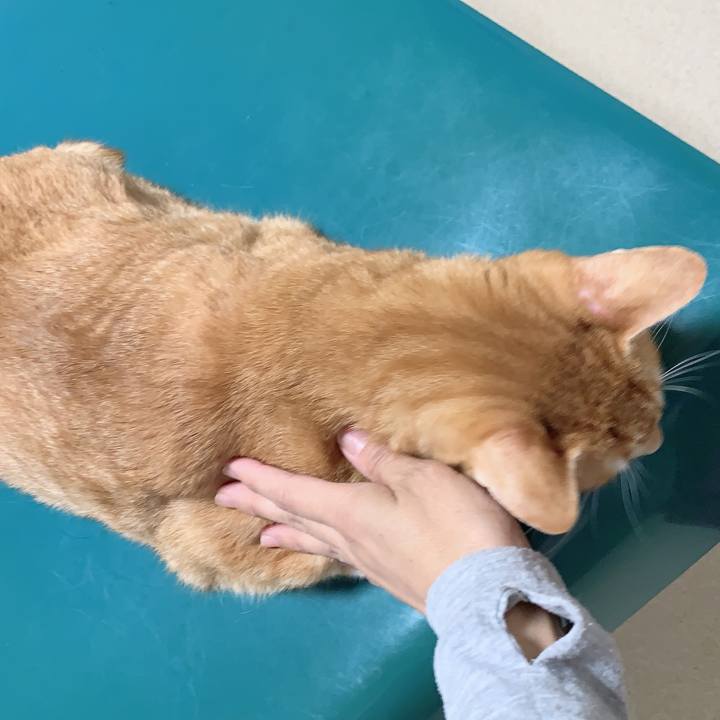 08a4b11f 2373 46ec ad58 027fd2f85ff0 1629893184892