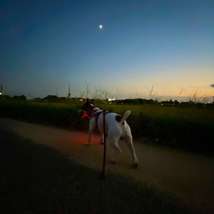 08a4b6c8 f122 4f0c 86e3 2cf41c77305a 1598361060335