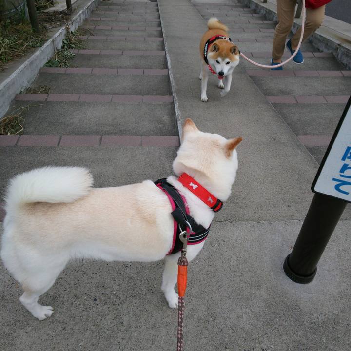 08a5761d bd8d 4d5b ba21 9d5b1d2e5524 1560589323664