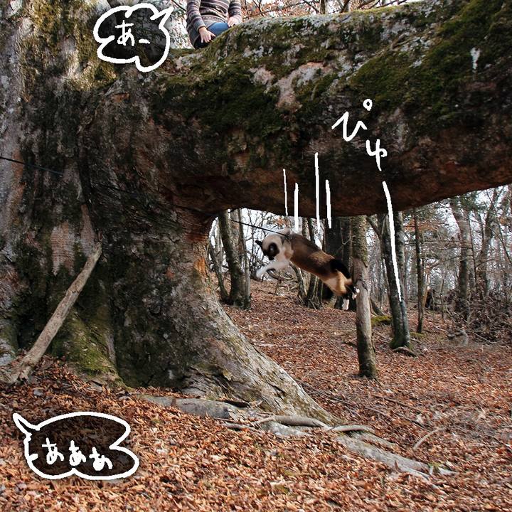 08a59829 810d 4714 9592 4469f917e377 1571831125787