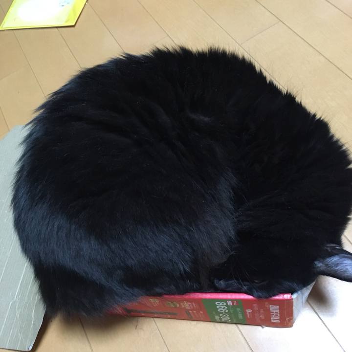 08a59e1f 0024 427b 8637 93f53b9fb49d 1514368746354