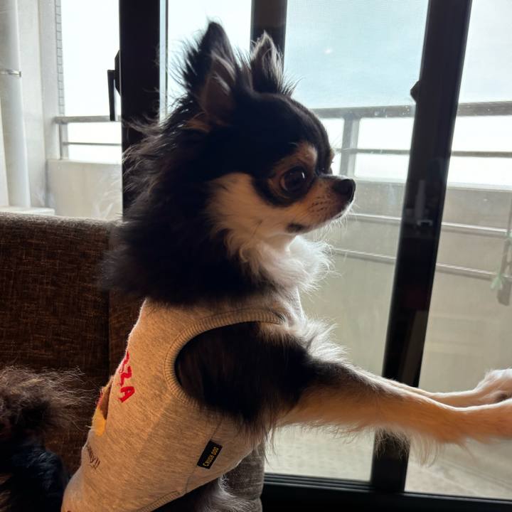 08a5dcf3 a31d 47be 9292 46144e7f3507 1729960782853