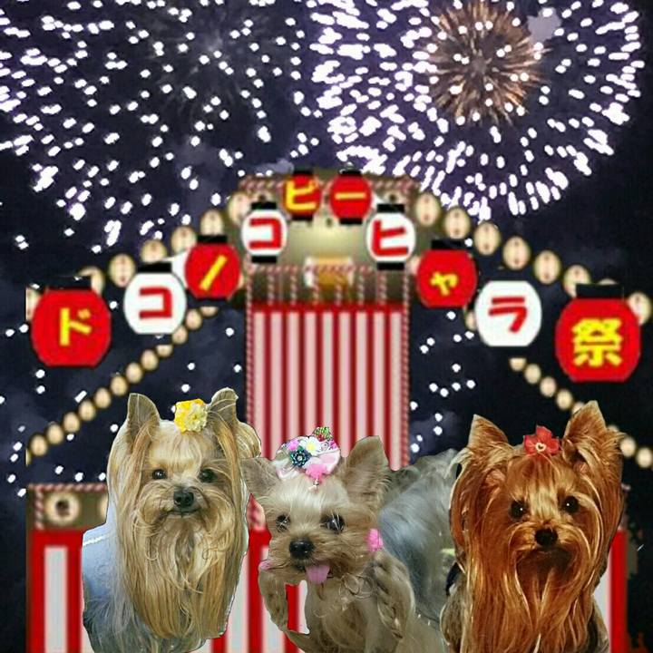 08a5e3a8 f281 4efe 8e74 51d2a6207a7a 1533382446906