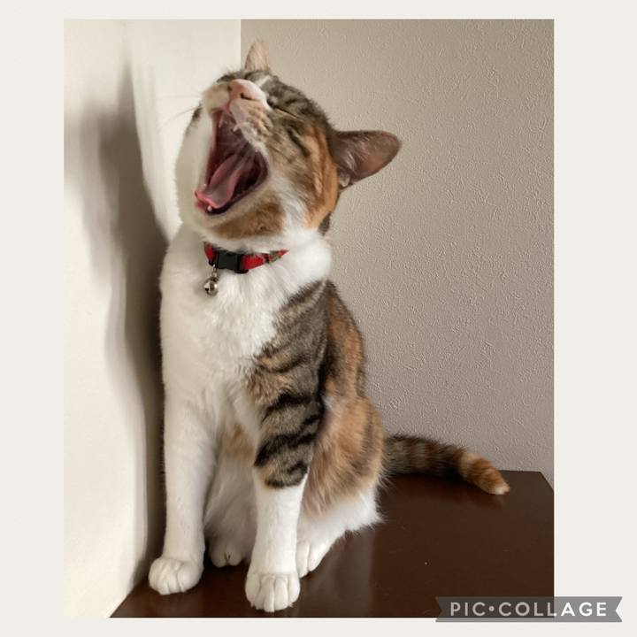 08a63f7c d791 4888 92bc 27d01d16139d 1655853235306