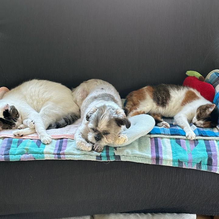 08a65d56 66b0 46e9 a2ca 77af63e30d65 1683262533812