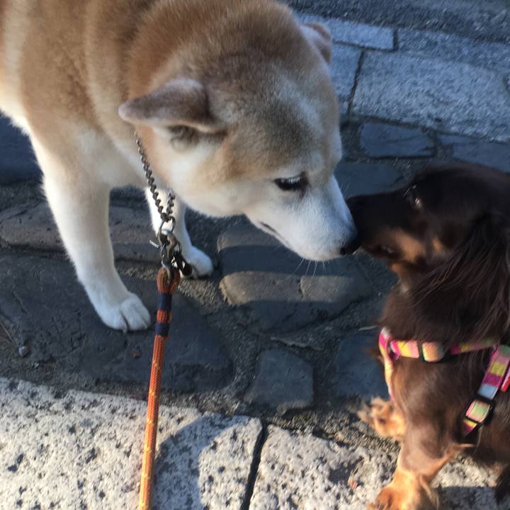 08a68267 f80b 47a3 a557 c50c0e512eb4 1532214696845