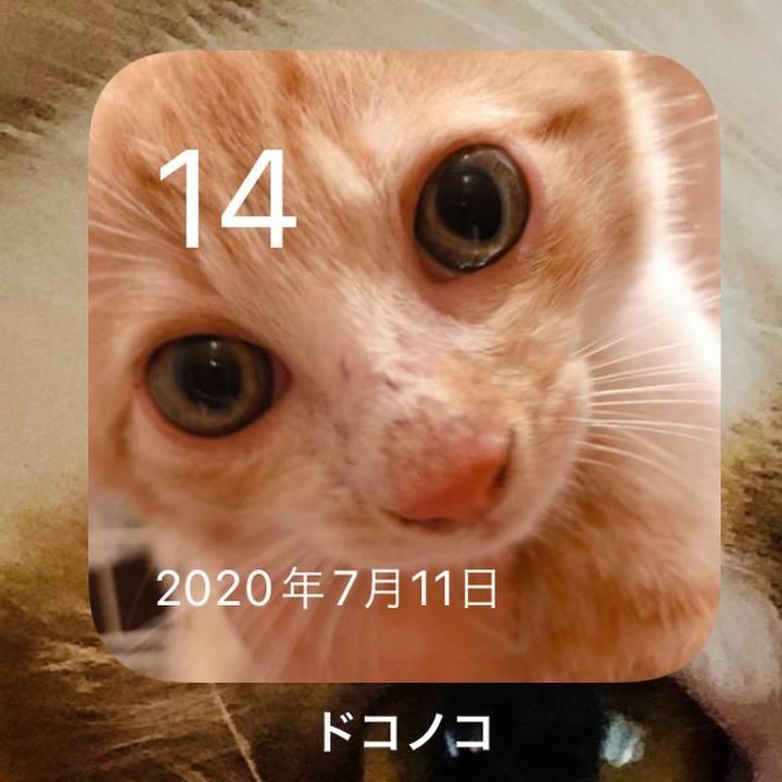 08a68f36 5682 4d95 a0cb 95d70e6f5409 1657786890336