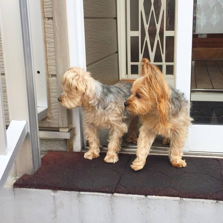 08a6be76 715c 496a a822 84269fcbe600 1528008358594