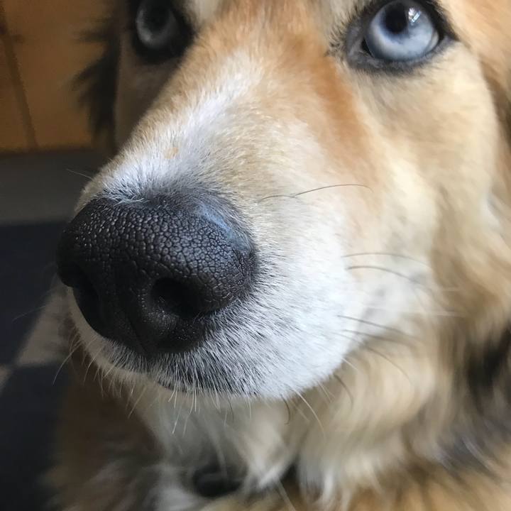 08a6c123 7f64 4b86 9986 d77f10f8bcf0 1523852480642