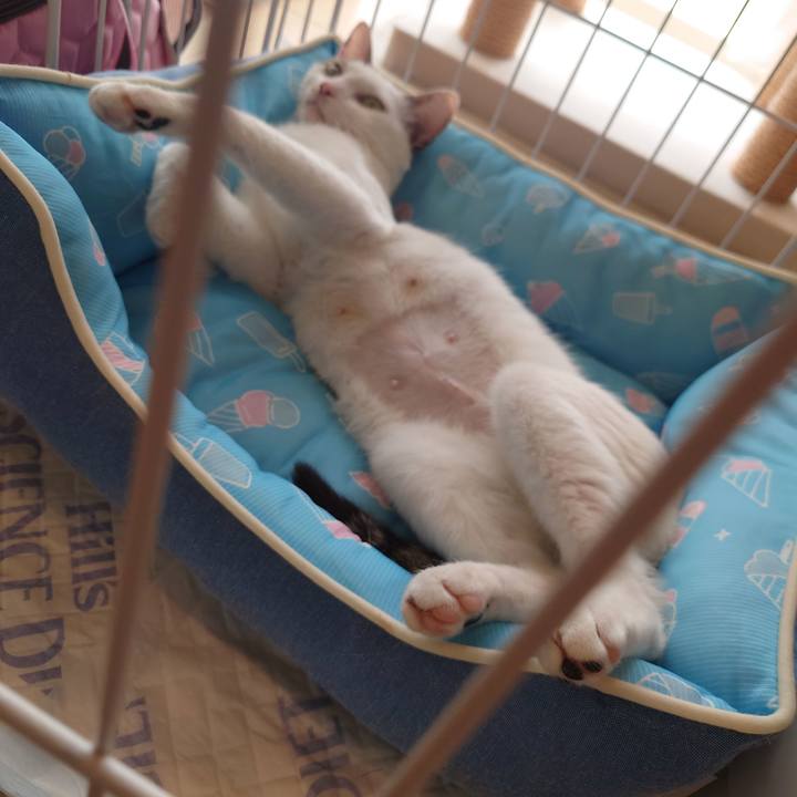 08a6f8e1 7d6f 40f0 b2d3 700707ffd0e6 1689654894127