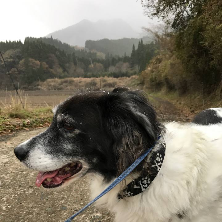 08a70f31 9d0e 48b1 a884 ca41f1f8f0e1 1511155010071