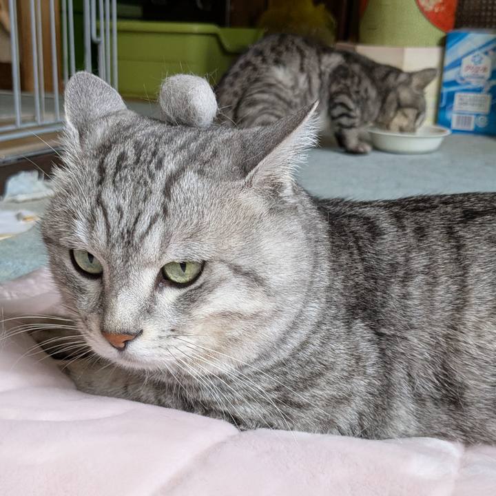 08a72270 762a 4f32 9cc6 cddfd864517d 1743997422273