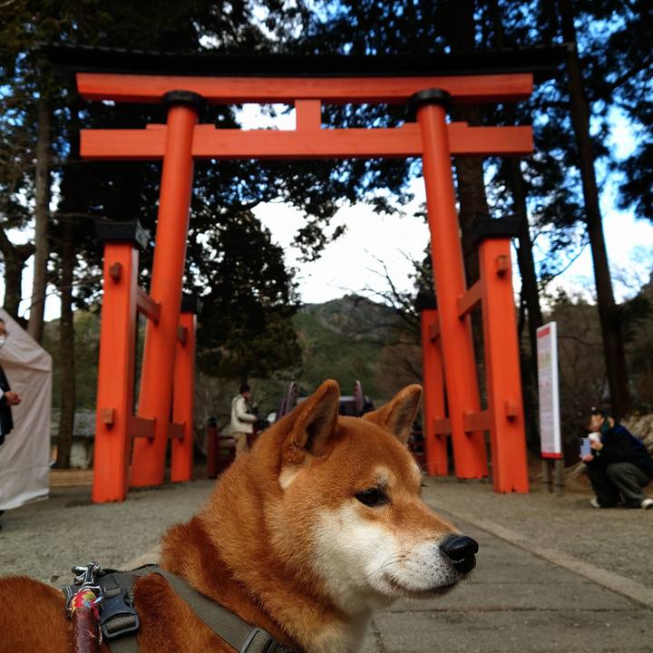 08a76b66 0c11 4f7b 8c8e f4b5b8f111f3 1767260451421