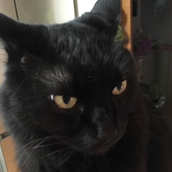 08a771bd badf 4fc7 8873 b548006c6cca 1523785831345